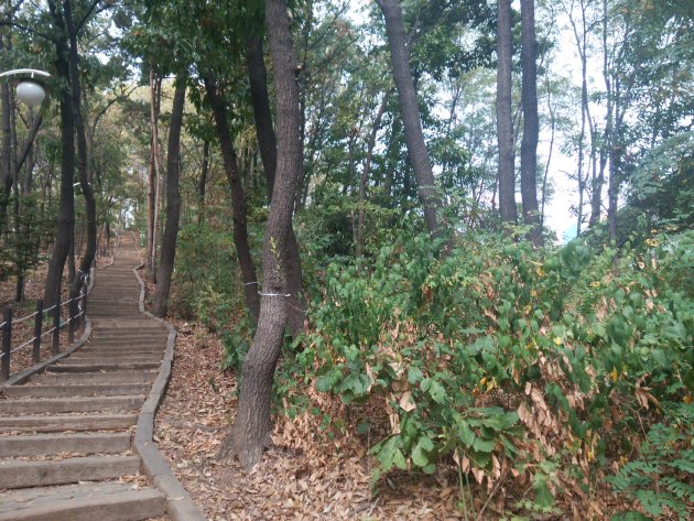 霊通中央公園内の風景